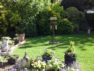Picture 23
